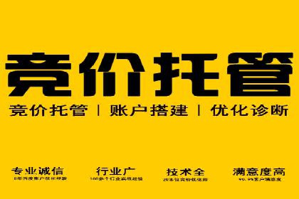百度推广实战：案例分享与效果评估